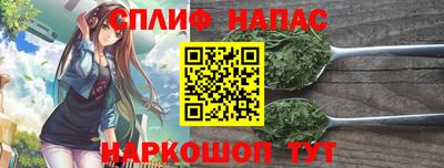 прущие грибы Тара