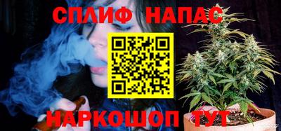 прущие грибы Тара