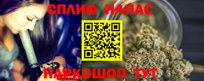 прущие грибы Тара