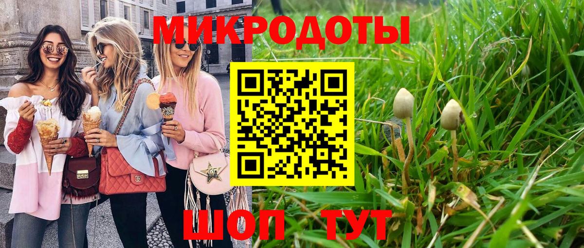 Галлюциногенные грибы мицелий Октябрьский