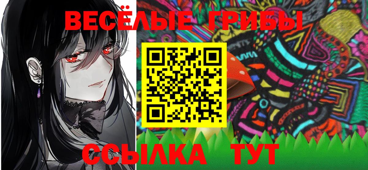 наркошоп  Галлюциногенные грибы Cubensis  Октябрьский  Вход с VPN  Псилоцибиновые грибы Cubensis 