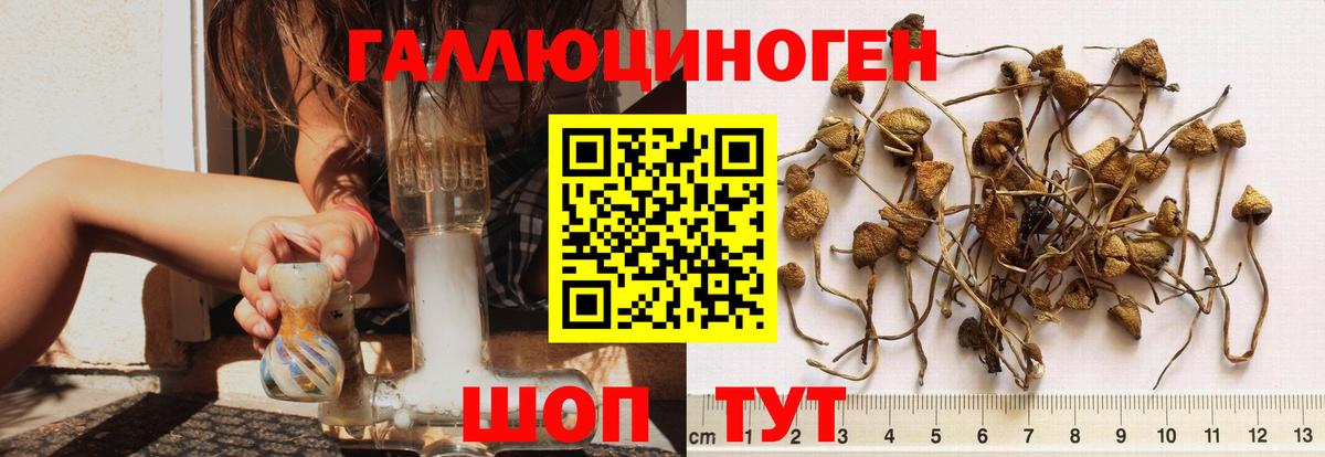 Меф   МАРИХУАНА  КОКАИН  ГАШИШ  Купить наркотики цена  Вход с VPN  Октябрьский  МЕФ  A PVP СОЛЬ кристаллы  МЕТАМФЕТАМИН 
